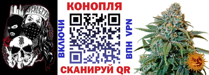 Магазины продажи наркотиков Сураж Бошки Шишки APVP ГАШ