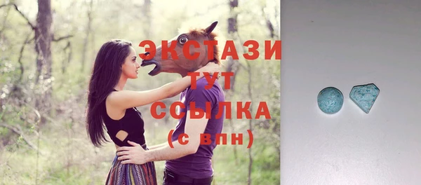 2c-b Новозыбков