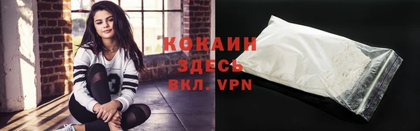 спайс Новодвинск