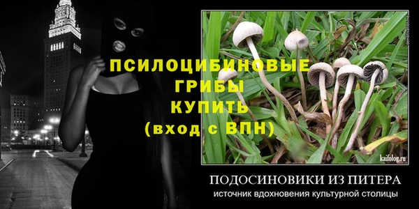 спайс Новодвинск